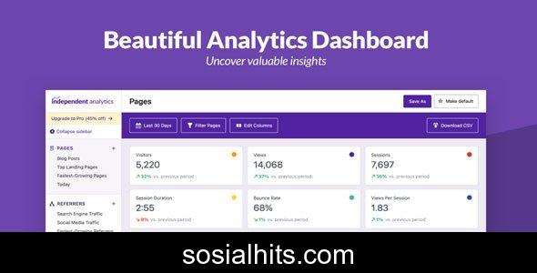 Independent Analytics Pro 2.11.10