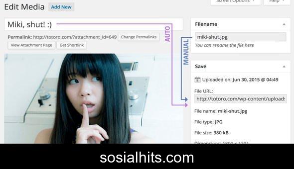 Media File Renamer Pro v6.1.1