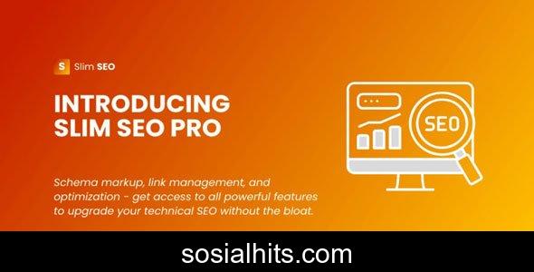 Slim SEO Pro v1.3.0