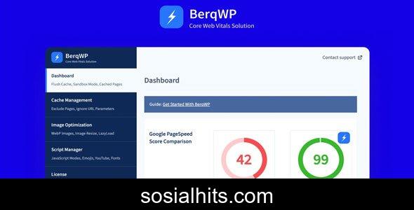 BerqWP v2.2.51 - Automated WordPress Plugin nulled
