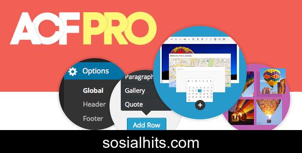 Advanced Custom Fields Pro v6.4.3