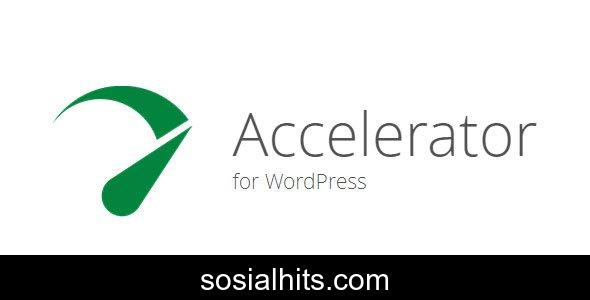 Seraphinite Accelerator v2.27.40