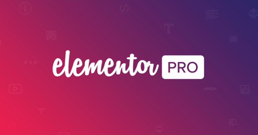 Elementor Pro - Page Builder Plugin for WordPress 3.25.4