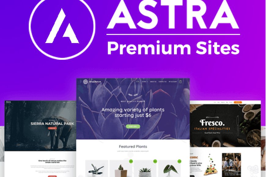 Astra Premium Starter Templates Pro v4.4.10