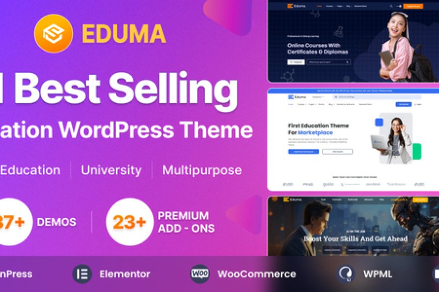 Eduma v5.6.2 - Education WordPress Theme
