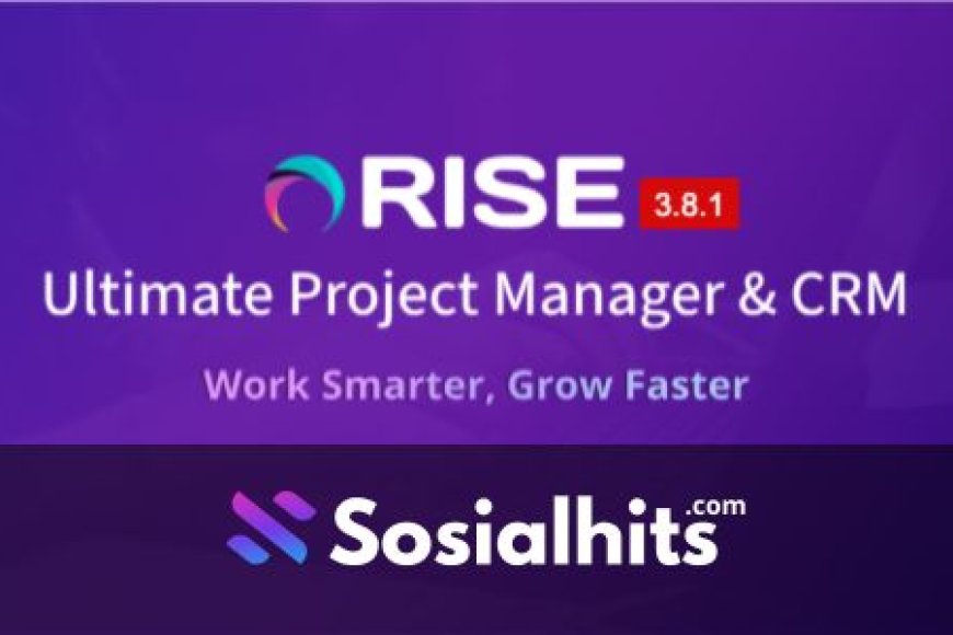 RISE v3.8.1 - Ultimate Project Manager & CRM