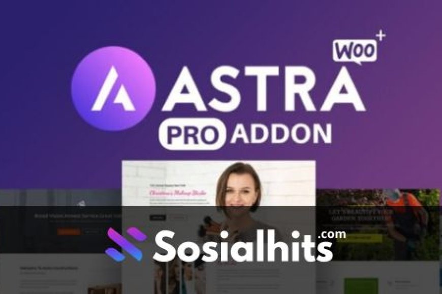 Astra Pro Addon v4.8.9 – Perfect Theme For Any Website