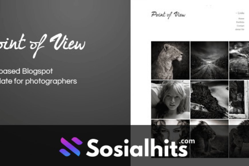 free download Point Of View Blogger Template