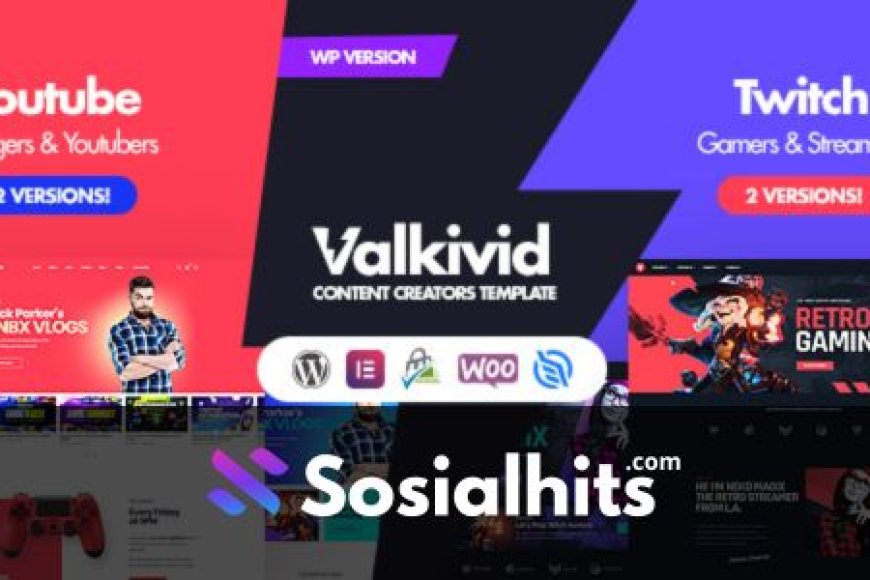 Valkivid v1.0.1 - Content Creators WordPress Theme
