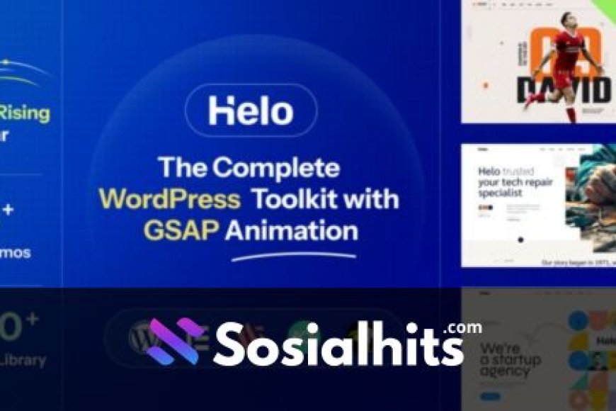 Helo v1.0.0 - Multi-Purpose WordPress Theme