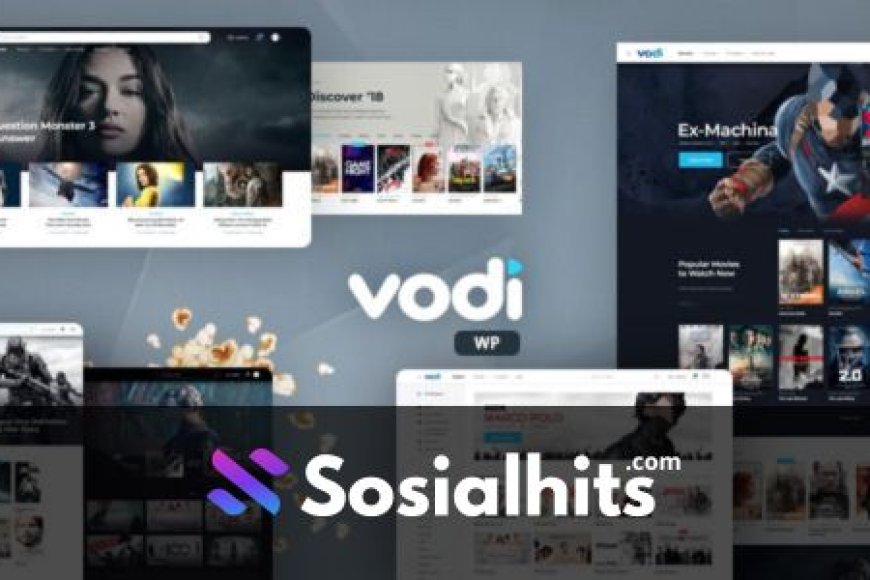 Vodi v1.2.13 - Video WordPress Theme for Movies & TV Shows