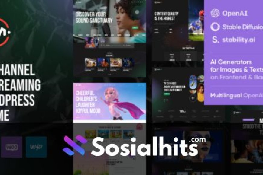 MediaFlex v1.3 - TV Channel & Streaming WordPress Theme