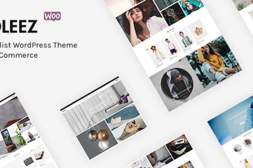 Moleez: A Minimalist WordPress Theme Perfect for WooCommerce Stores