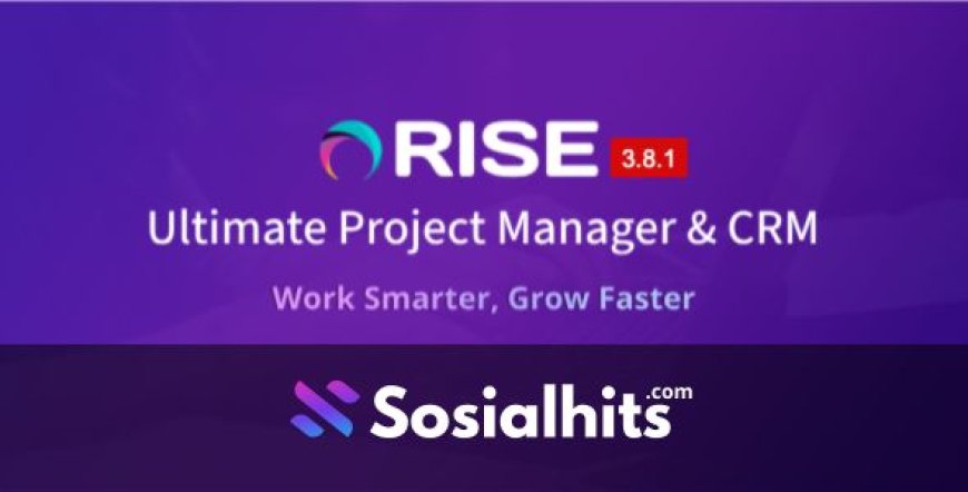 RISE v3.8.1 - Ultimate Project Manager & CRM