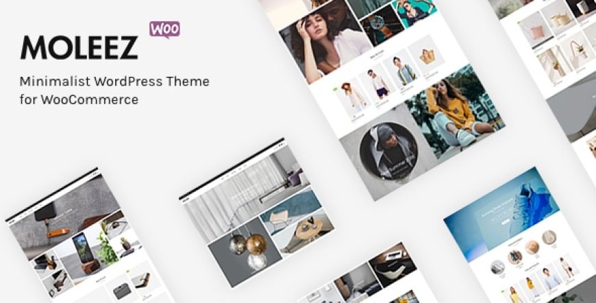 Moleez: A Minimalist WordPress Theme Perfect for WooCommerce Stores